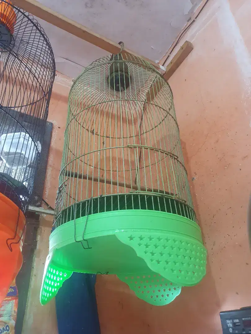 Kandang Burung Lovebird, Dll Bulat Besi Teboknya Baru