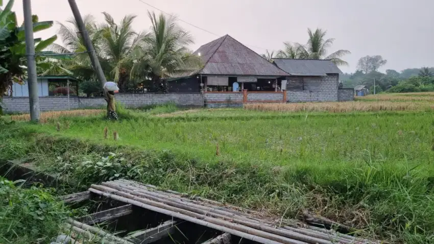 Tanah Jarang Ada Dikawasan By Pass Ida Bagus Mantra Tulikup Gianyar