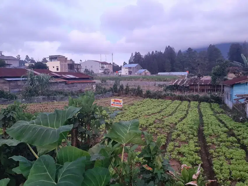 Dijual Tanah Kosong di Berastagi