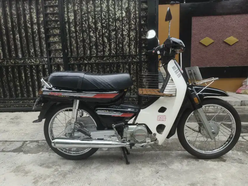 Astrea Grand bulus 91