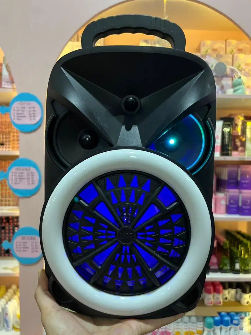 READY SPEAKER PORTBALE + MIC