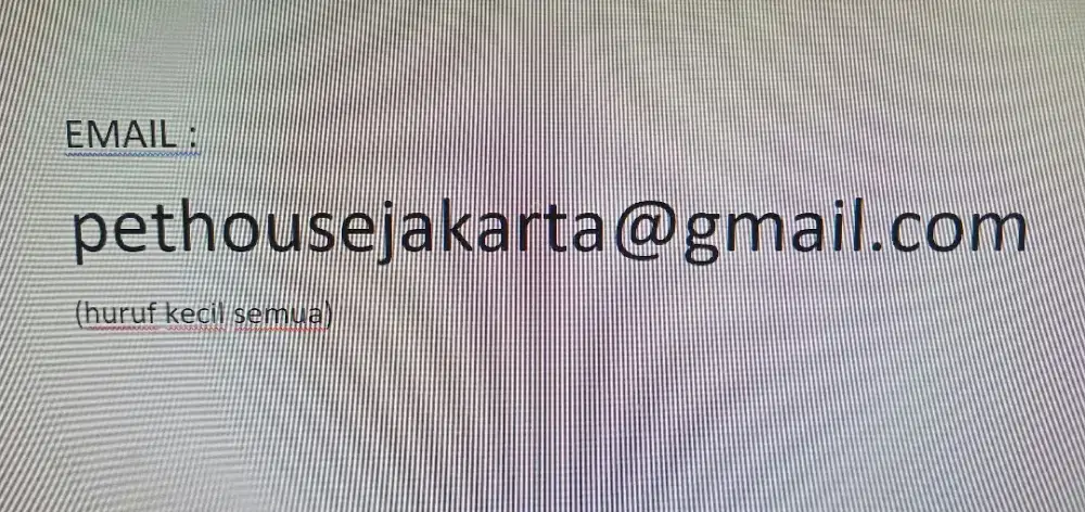 PARAMEDIS HEWAN & GROOMER