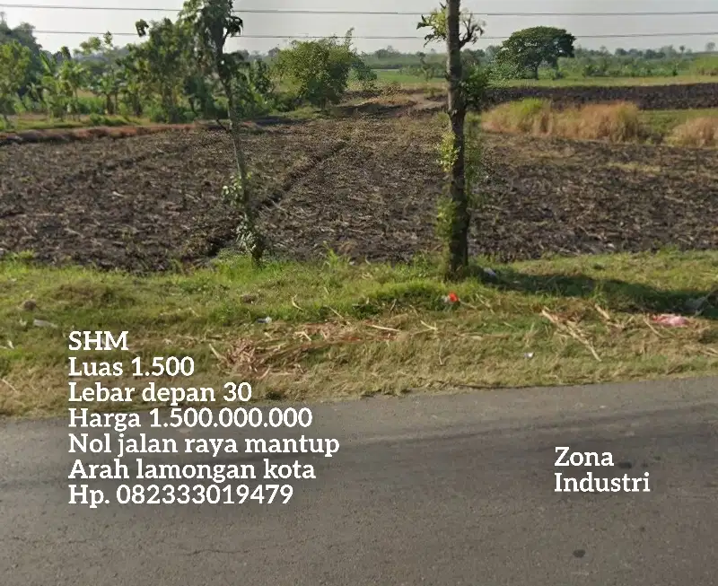 Tanah pinggir jalan raya mantup arah lamongan