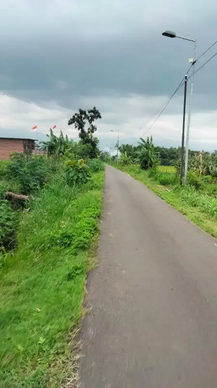 TANAH LOKASI ISTIMEWA MOJOKERTO