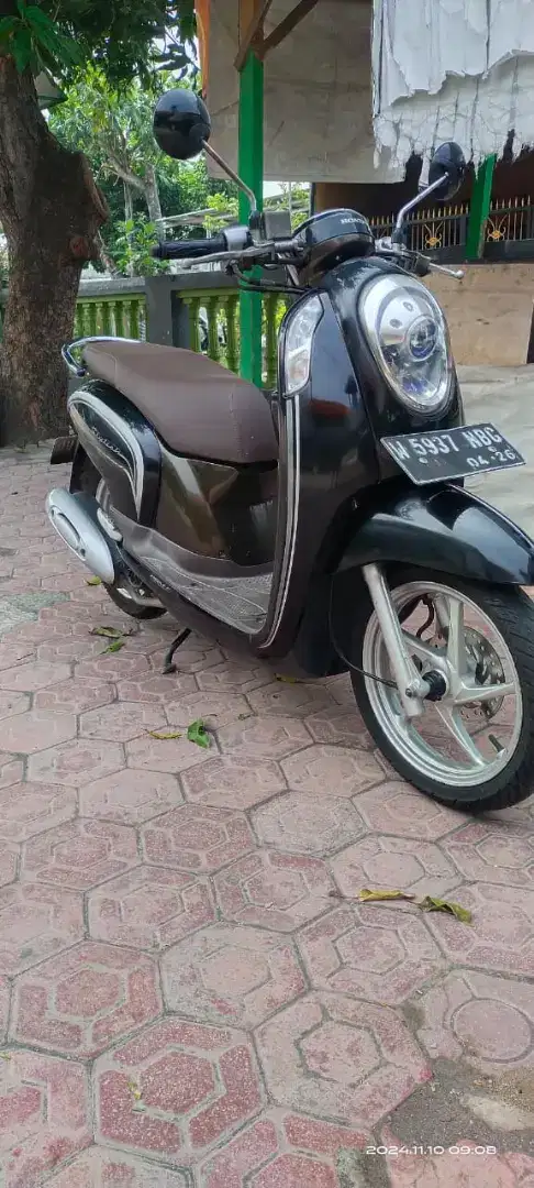 Honda scoopy plat w sidoarjo