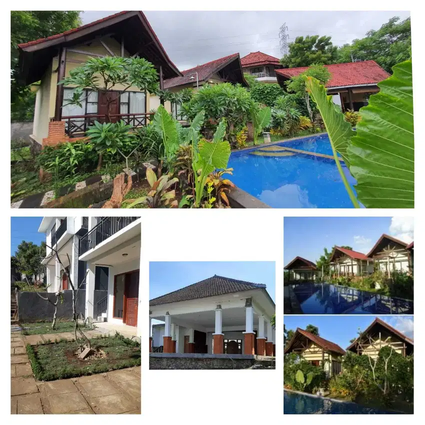 Dijual Murah dan Cepat  Villa Di Lovina Singaraja Bali