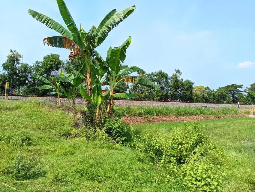 Tanah Pekarangan Murah, Dekat Terminal Madiun 1jt-an