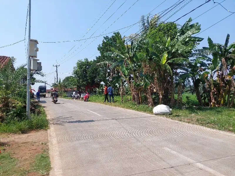 Tanah sawah pinggir jln bojong picung cianjur