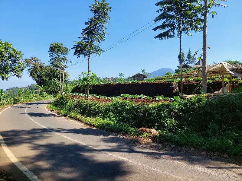 Tanah pinggir jln pasigaran tanjungsari sumedang