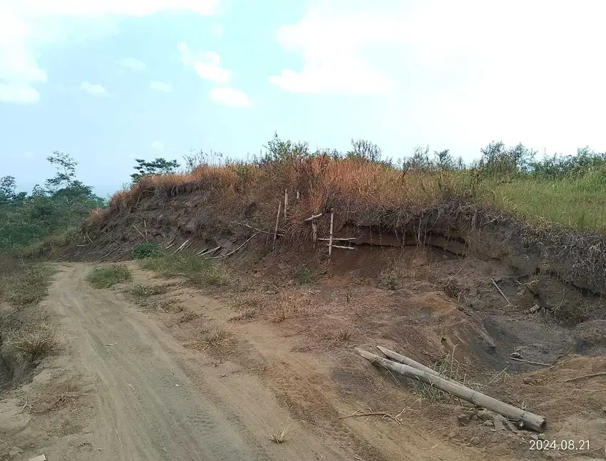 Tanah pertanian murah poncokusumo