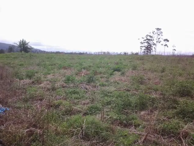 Ladang subur seluas 50 hektar