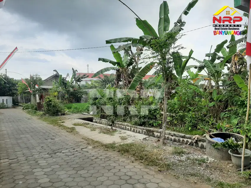 Dijual Tanah di Belakang SMK 17 Agustus Cluring - Banyuwangi