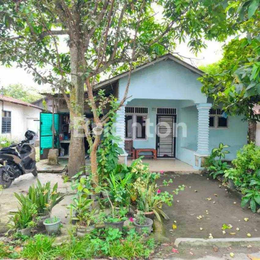 Jual rugi 2 rumah luas tanah 650m²