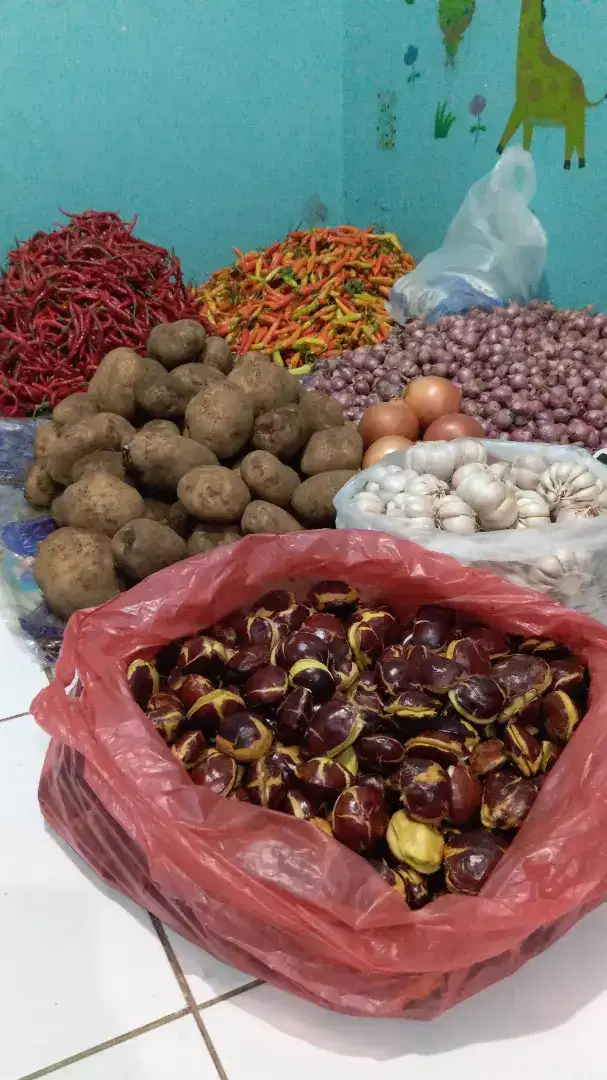 Dijual cabe kentang sepi bawang merah