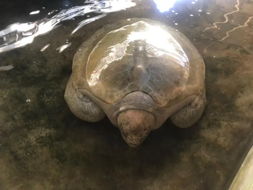 Saya membutuhkan pekerjaan bukan cari pekerja