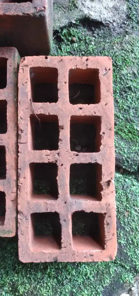 JUAL ROESTER  BATA BAKAR ASLI