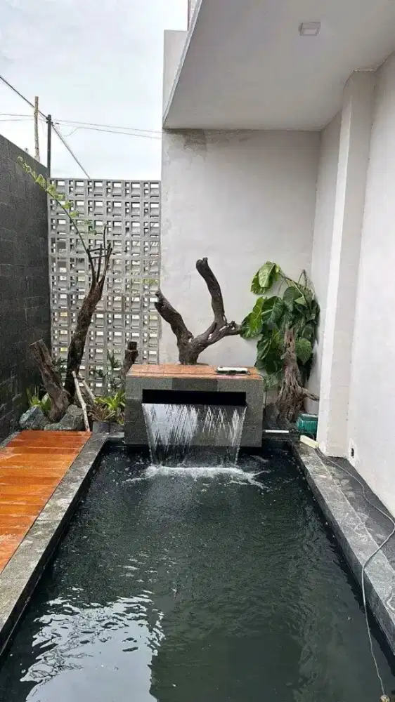 Tukang kolam hias ikan koi