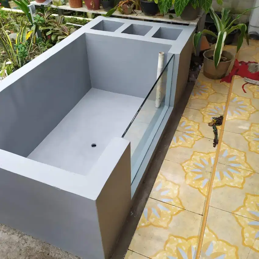 Kolam ikan Koi Termurah