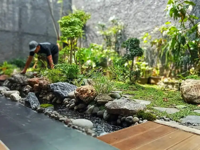 Kolam Ikan Koi Murah Bergaransi