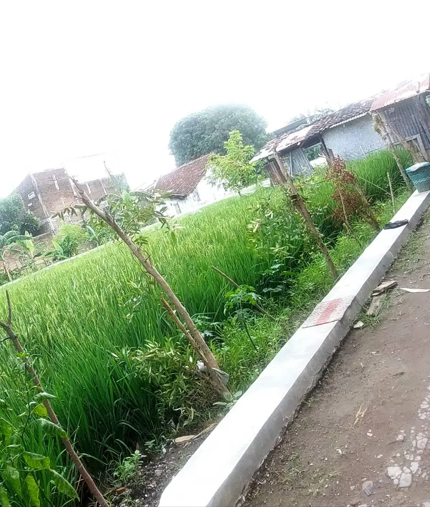 Dijual Lahan Pekarangan SHM di area tengah perkampungan Kota Yogya