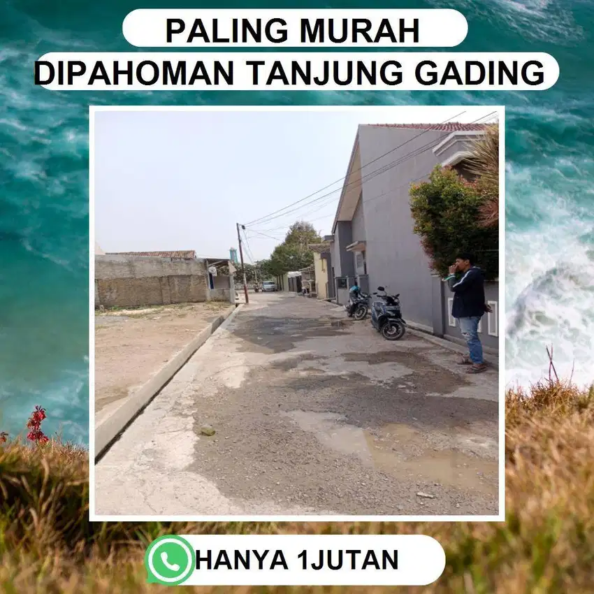 TANAH DI PAHOMAN TANJUNG GADING DIJUAL MURAH BISA DICICIL