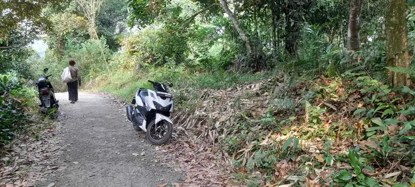 Tanah datar murah meriah