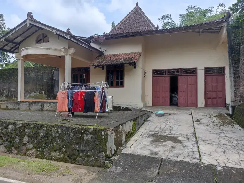 Rumah Asri Halaman Luas