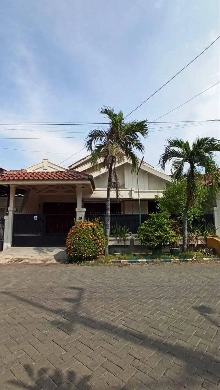 Disewakan Rumah Jl. Palem Selatan IV Waru Sidoarjo