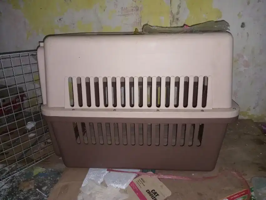 Cargo petshop hewan