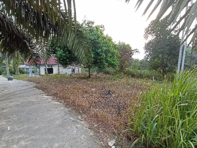 Dijual cepat Tanah di jl Pertemuan / Jl Tenayan Jaya