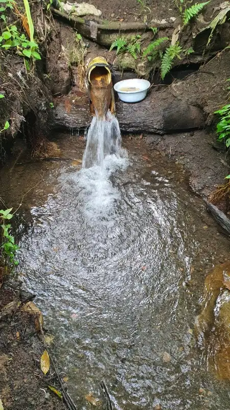 TANAH MURAH ADA MATA AIR COCOK BERKEBUN atau INVESTASI