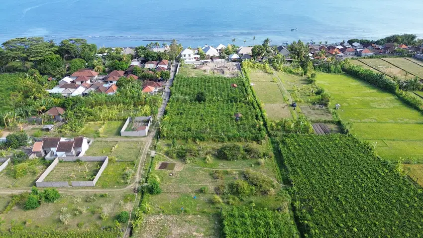 Dijual Tanah Kavling Murah Luas 1 are Dekat Pantai Buleleng