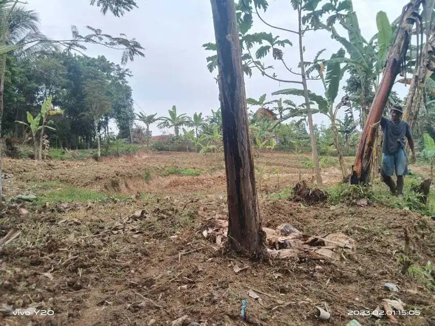 Tanah kebun dan sawah produktif nempel jalan mobil Lt 5200 m² murah