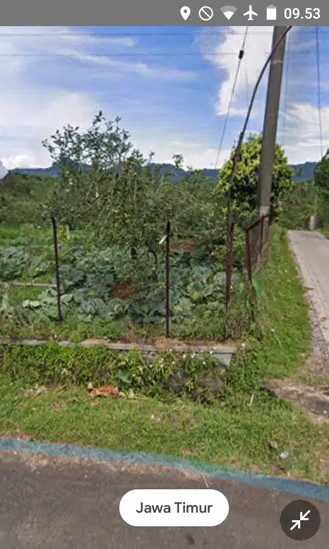 Kebun durian siap panen luas 8515 m2 harga 3 Milyar di Tutur, Pasuruan