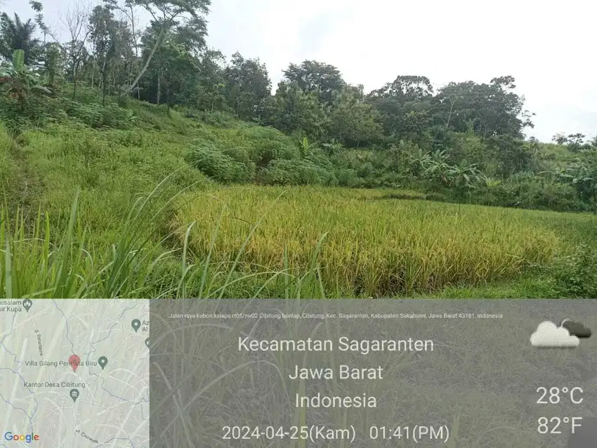 Dijual Tanah Sawah Lokasi di Sukabumi Jampang, Jawa barat