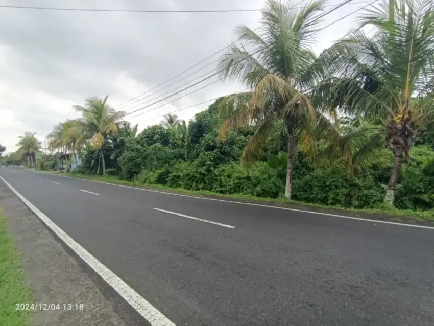 Tanah Zona Perdagangan Dekat Exit Toll Antosari Tabanan Bali