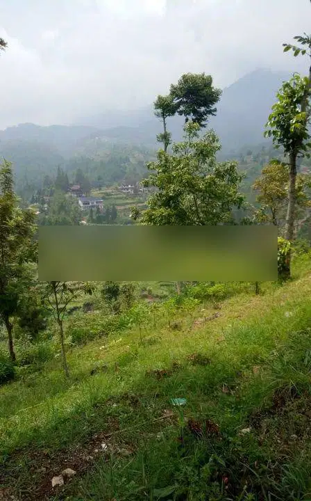 murah banget lahan area wisata usaha ciwidey