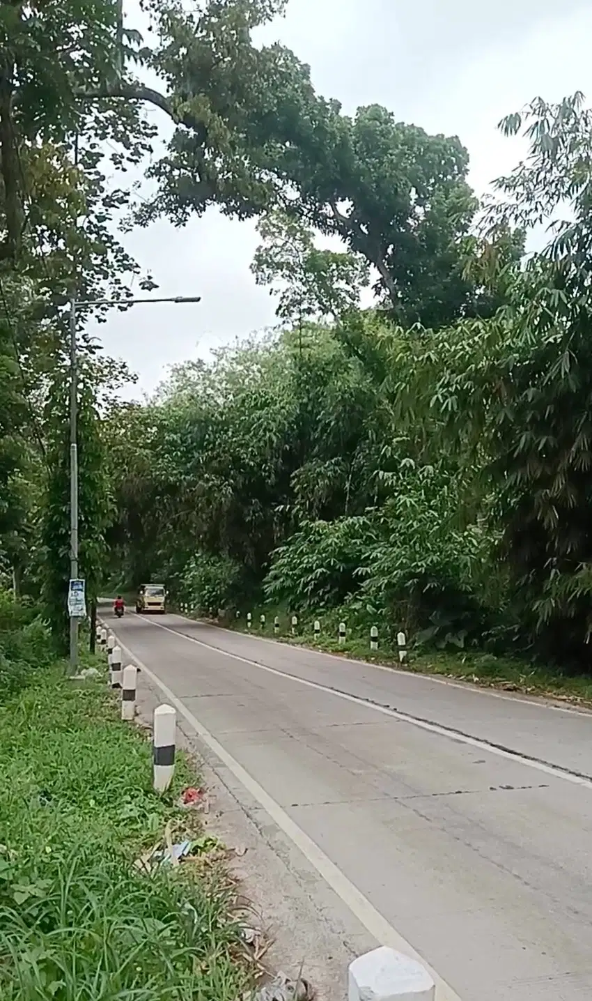 Tanah Nempel jalan Raya boja cocok untuk kantor atau perumahan