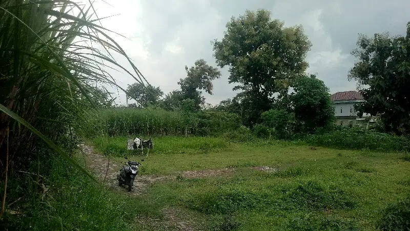 Tanah Pekarangan Karang Ploso Malang