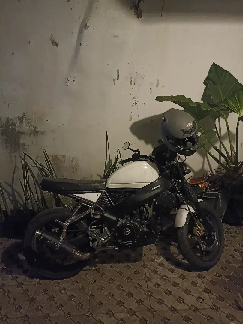 Kawasaki Pulsar Custom Scrambler 2016