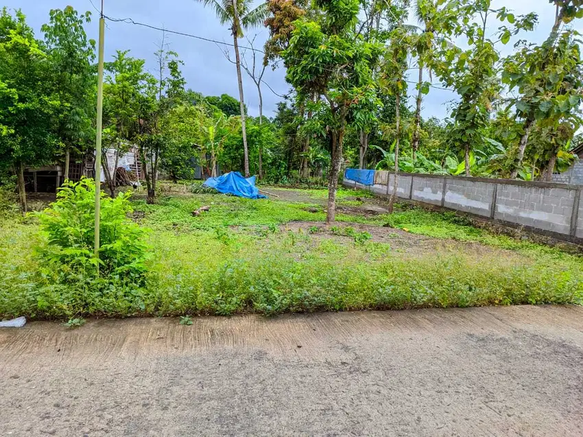 DIJUAL TANAH PEKARANGAN DI BANTUL AKSES JALAN LUAS PUNDONG JK12976