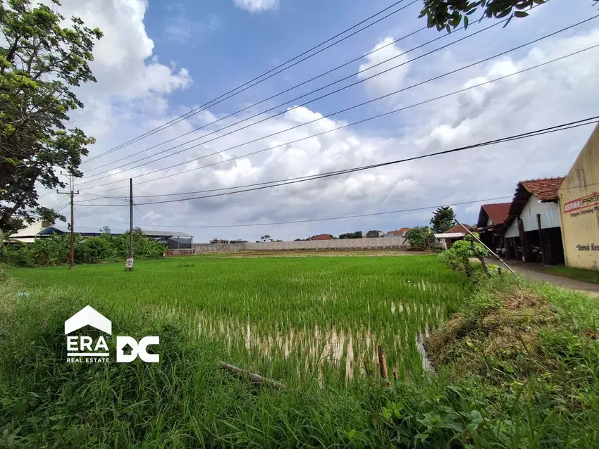 Tanah Luas Cocok Untuk Dibangun Gudang Dan Usaha Kaliwungu Kudus