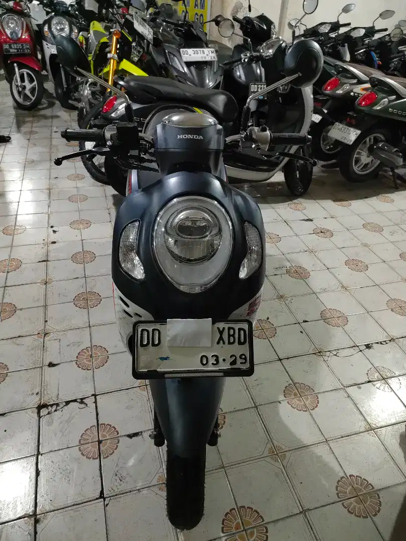 Honda scoopy 110 cc 2024 biru