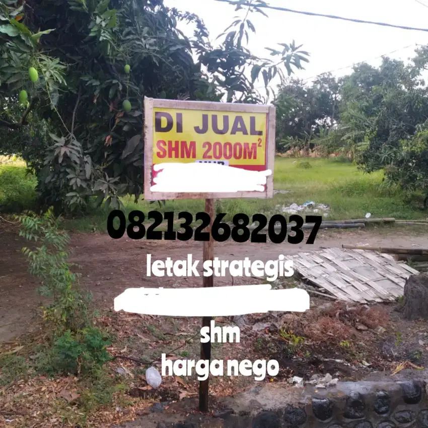 dijual tanah luas 2000m2 kapongan (situbondo)