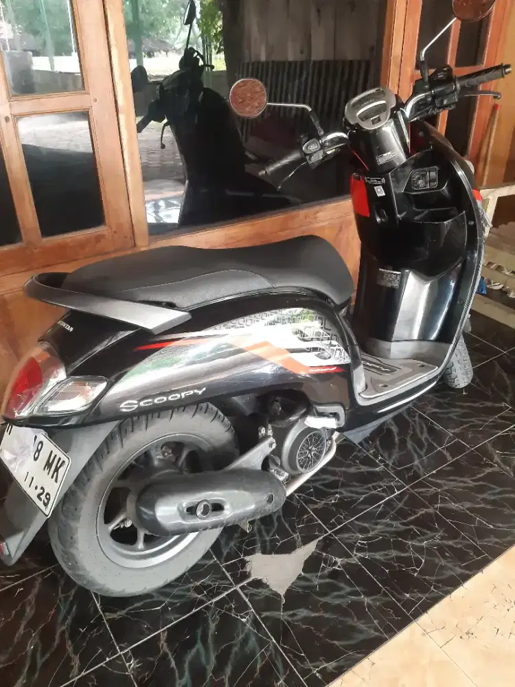 Motor scoopy 2019
