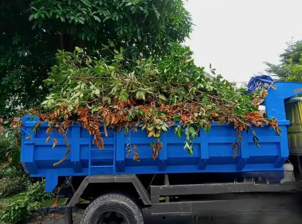 Taman kebun ranting pohon