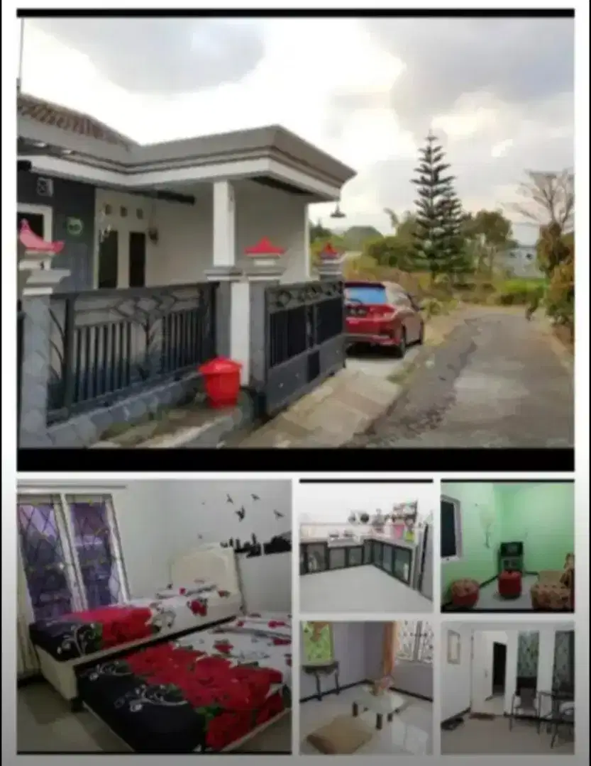 Rumah di Sewakan/Kontrkaan