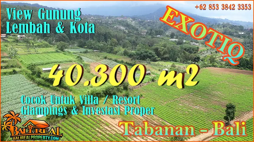 Land for sale 40,300 m2 good contour in Baturiti Tabanan