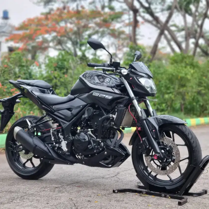 YAMAHA MT25 HITAM NIK 2017 LOW KM 15K