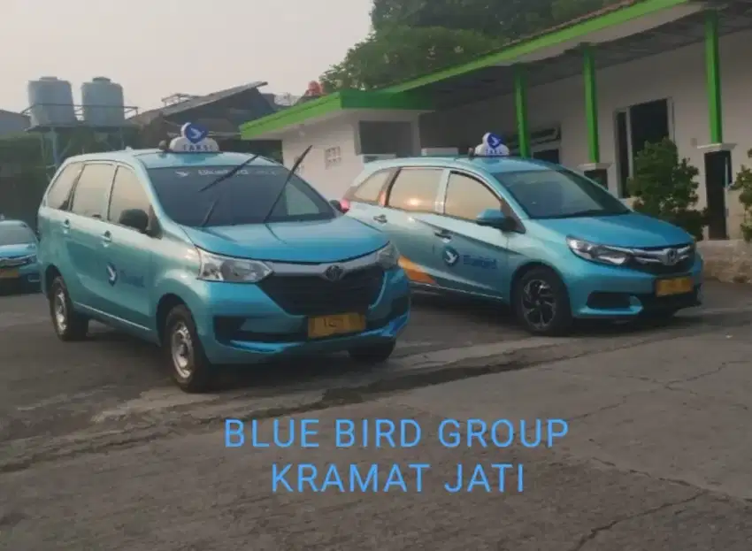 Dibutuhkan driver online Bluebird grup